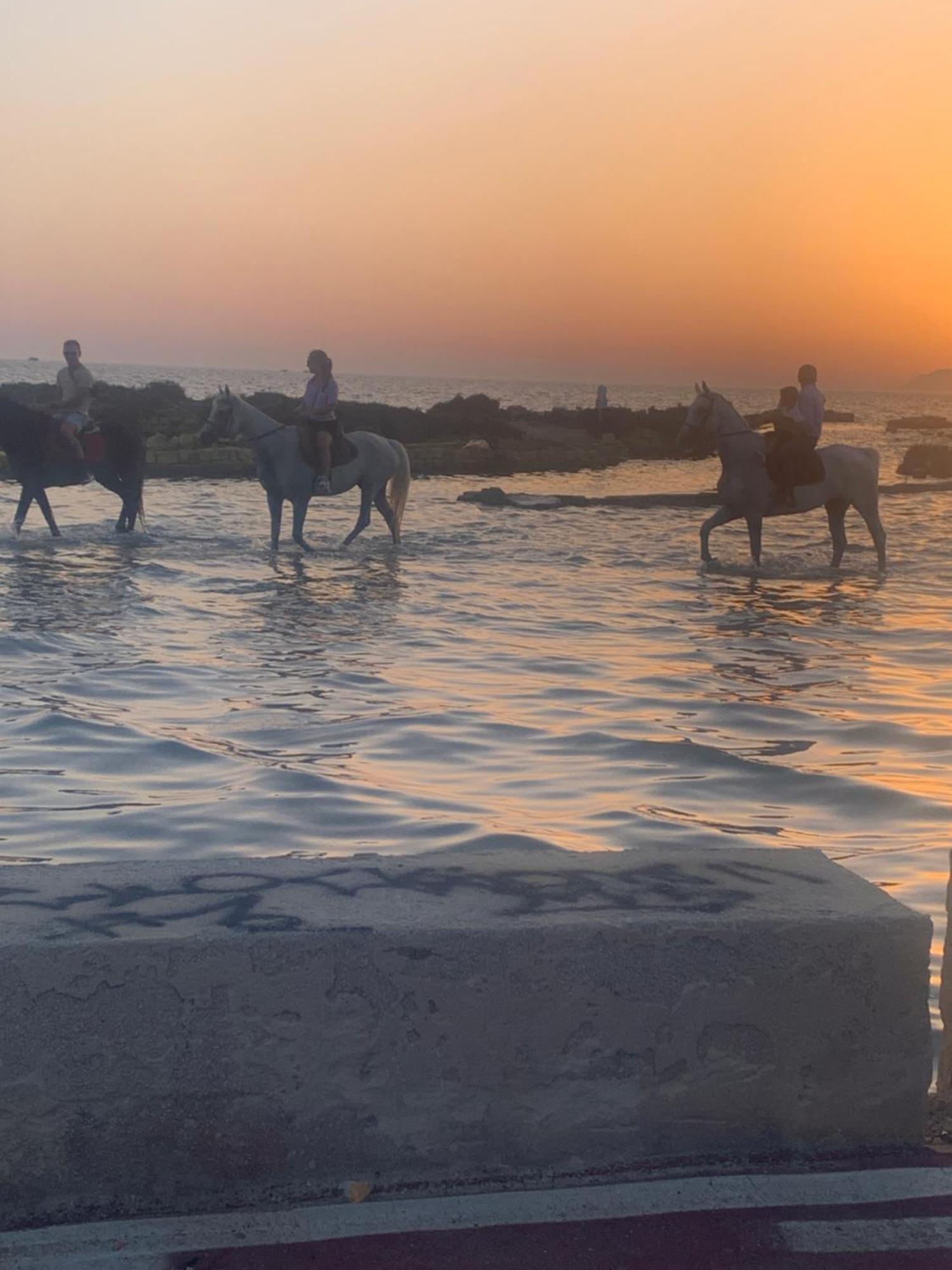 Villa Maresol Marsala Esterno foto